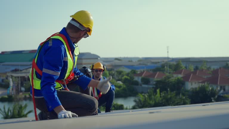 Best Roof Insulation Installation  in Fetters Hot Springs Agua Liente, CA